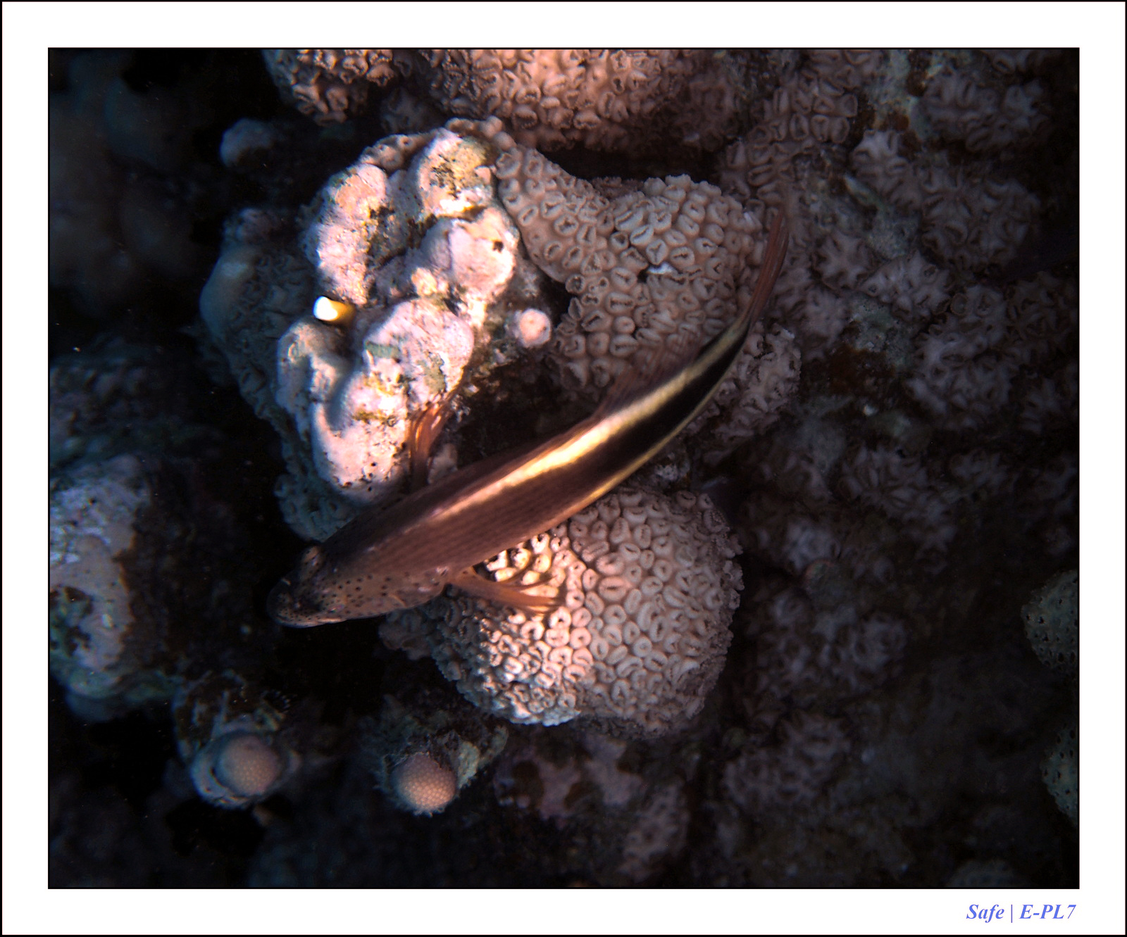 Hurghada - Juillet 2021 - 033